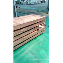 Alloy Bronze C93800 Flat Plate